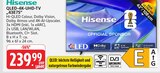 Aktuelle Fernseher Angebote bei Marktkauf in Böblingen Aktuelles QLED-4K-UHD-TV Angebot bei Marktkauf in Böblingen ab 239,99 €