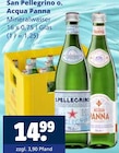 San Pellegrino im Angebot bei Getränkewelt in Wuppertal San Pellegrino Angebote bei Getränkewelt Wuppertal für 14,99 €