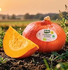 Netto Marken-Discount Brey - Bio Kürbis Hokkaido Angebot im Prospekt Bio Kürbis Hokkaido bei Netto Marken-Discount im Brey Prospekt für