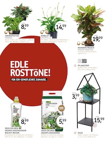Gartenerde im ROSENGUT Langerwisch Prospekt "ENDLICH HERBST!" mit 12 Seiten (Potsdam)