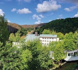 Thüringer Wald / Masserberg Angebote von Rewe reisen bei REWE Frankfurt für 165,00 €