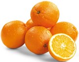 Bio Orangen Angebote von REWE Bio bei REWE Schwerte für 2,29 €