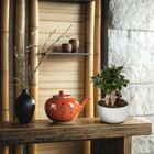 Promo Ficus ginseng à 24,99 € dans le catalogue Carrefour à Chemellier