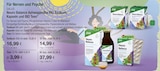 Neuro Balance Ashwagandha BIO Tonikum, Kapseln und BIO Tees von SALUS im aktuellen VITALIA Reformhaus Prospekt für 3,99 €