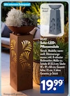 Solar-LED-Pflanzensäule von BELAVI im aktuellen ALDI SÜD Prospekt für 19,99 €