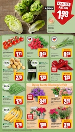 Ähnliche Angebote wie Tulpen im Prospekt "Dein Markt" auf Seite 7 von REWE in Freiberg