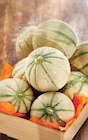 Intermarché Saint-Pons-de-Thomières - Promo Melon Charentais Promo Melon Charentais à 3,98 € dans le catalogue Intermarché à Saint-Pons-de-Thomières