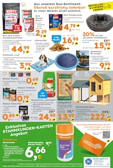 Katzenstreu im Globus-Baumarkt Prospekt "Immer eine Idee besser" mit 24 Seiten (Mannheim)