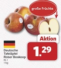 famila Nordwest Quakenbrück - Deutsche Tafeläpfel Roter Boskoop Angebot im Prospekt Deutsche Tafeläpfel Roter Boskoop bei famila Nordwest im Quakenbrück Prospekt für 1,29 €