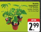 Veredelte Gemüsepflanze Angebote bei E center Würzburg für 2,99 €