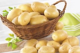 Bi1 Appoigny - Promo Pomme de terre de consommation à chair ferme Promo Pomme de terre de consommation à chair ferme à 2,99 € dans le catalogue Bi1 à Appoigny