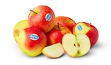 Rote Äpfel Angebote von Kanzi bei Penny-Markt Castrop-Rauxel für 1,69 €
