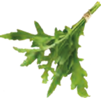 Rucola bei EDEKA im Rellingen Prospekt für 1,29 €