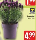 Lavendel bei EDEKA im Leichlingen Prospekt für 4,99 €