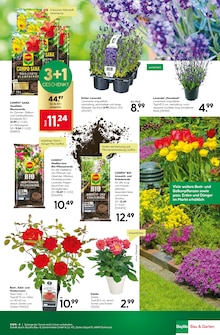 Blumenerde im aktuellen BayWa Bau- und Gartenmärkte Prospekt (Würzburg) Blumenerde im BayWa Bau- und Gartenmärkte Prospekt "Jubiläums-angebote" mit 16 Seiten (Würzburg)