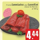 Aktuelles Lammlachse Angebot bei EDEKA in Mülheim (Ruhr) ab 4,44 €
