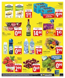 Teekanne im EDEKA Prospekt "Auf die °Punkte, fertig, los!" mit 28 Seiten (München)