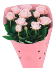 Schopflavendel oder Topfrose Dolce Amore im Angebot bei EDEKA in Kiel Schopflavendel oder Topfrose Dolce Amore Angebote bei EDEKA Kiel für 3,99 €