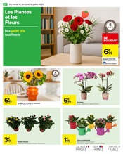 Orchidée Angebote im Prospekt "Carrefour" von Carrefour Orchidée Angebote im Prospekt "Carrefour" von Carrefour auf Seite 40