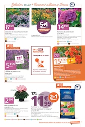 Promos Hortensia dans le catalogue "LES 12J QUI RÉCONCILIENT AVEC LA RENTRÉE !" de Jardiland Hortensia en promo dans le catalogue Jardiland à la page 5