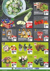 Aktueller EDEKA Prospekt mit Pflanzen, "Wir lieben Lebensmittel!", Seite 3
