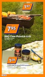 BBQ-Grill im Action Prospekt in Salzgitter Aktueller Action Prospekt mit BBQ-Grill, "kleine Preise, grosse Freude!", Seite 13