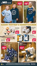 Dekoration Angebot im aktuellen Netto mit dem Scottie Prospekt auf Seite 16