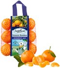 Aktuelles Mandarinen Angebot bei REWE in Mannheim ab 2,49 €