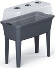 Hochbeet von Prosperplast für 39,99 € bei Zimmermann im Angebot Hochbeet von Prosperplast im aktuellen Zimmermann Prospekt