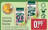Geranium Sanguineum Rosa von Gardenline im aktuellen ALDI Nord Prospekt für 0,99 €