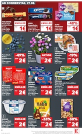 Nüsse im Kaufland Prospekt in Paderborn Aktueller Kaufland Prospekt mit Nüsse, "Hier bin ich richtig", Seite 8