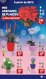 Offre Fleurs d'extérieur dans le catalogue Aldi du moment à la page 41