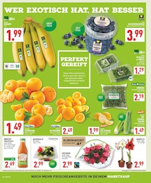 Zimmerpflanzen im aktuellen Marktkauf Prospekt (Essen) Zimmerpflanzen im Marktkauf Prospekt "Aktuelle Angebote" mit 28 Seiten (Essen)