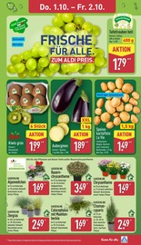 Weintrauben im ALDI Nord Prospekt in Gera Aktueller ALDI Nord Prospekt mit Weintrauben, "Aktuelle Angebote", Seite 33