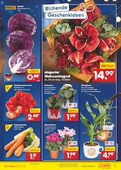 Ähnliche Angebote wie Rasendünger im Prospekt "Aktuelle Angebote" auf Seite 5 von Netto Marken-Discount in Kamen