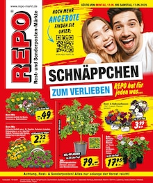 Aktueller Repo Prospekt (Alsleben (Saale), 16 Seiten zum blÀttern Repo Prospekt Aktuelle Angebote mit 16 Seiten