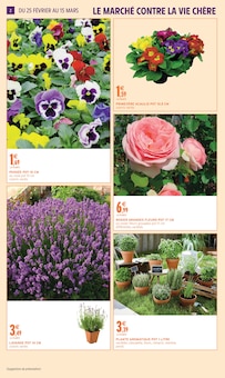 Catalogue Intermarché Super à Gattières cette semaine, valable du 24/02/2026 au 15/03/2026 Prospectus Intermarché Super à Gattières, "AIMEZ VOTRE JARDIN", 8 pages de promos valables du 24/02/2026 au 15/03/2026