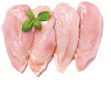 Aktuelles Frische Hähnchenbrustfilets Angebot bei Netto mit dem Scottie in Dresden ab 5,55 €