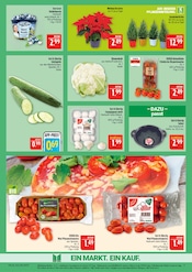 Garten im Marktkauf Prospekt in Schwabach Aktueller Marktkauf Prospekt mit Garten, "AUSWAHL RIESIG, PREISE NIEDRIG", Seite 9