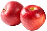Cosmic Crisp Rote Tafeläpfel Angebote bei REWE Karlsruhe für 1,99 €