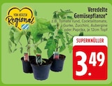 Veredelte Gemüsepflanze im aktuellen EDEKA Prospekt für 3,49 €