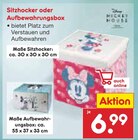 Sitzhocker oder Aufbewahrungsbox Angebote von Mickey Mouse bei Netto Marken-Discount Kaufbeuren für 6,99 €