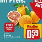 REWE - Grapefruits Angebot im Prospekt Grapefruits bei REWE im Prospekt "" für 0,59 €