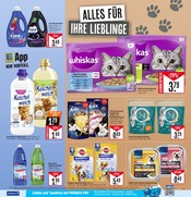 Aktueller Marktkauf Prospekt mit Hundefutter, "Aktuelle Angebote", Seite 25