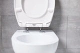 Duoplast-WC-Sitz Angebote von Livarno Home bei Lidl Erlangen für 12,49 €
