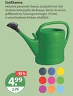 Gießkanne von  im aktuellen V-Markt Prospekt für 4,99 €