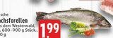 E center - Frische Lachsforellen Angebot im Prospekt Frische Lachsforellen bei E center im Prospekt "" für 1,99 €