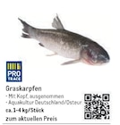 Graskarpfen Angebote von Pro Trace bei METRO Wolfsburg