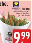 Tulpen 'Holland Lieblinge' bei EDEKA im Vreden Prospekt für 9,99 €