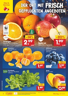 Äpfel im Netto Marken-Discount Prospekt "Aktuelle Angebote" mit 50 Seiten (Oldenburg)